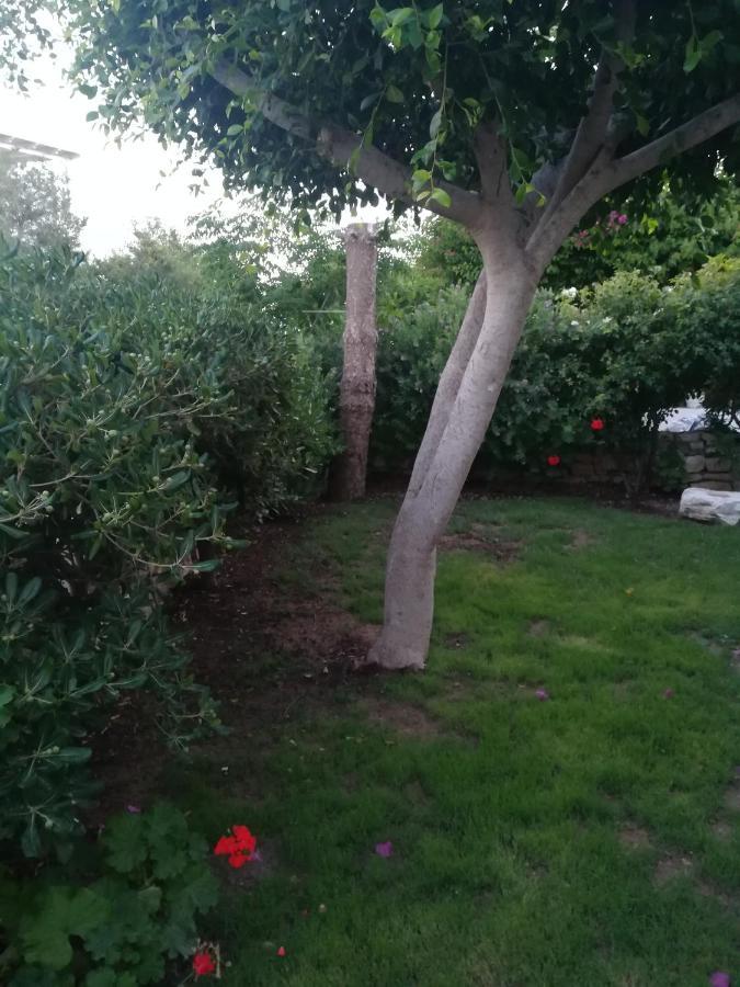 Kelly'S Daire Chrisi Akti  Dış mekan fotoğraf
